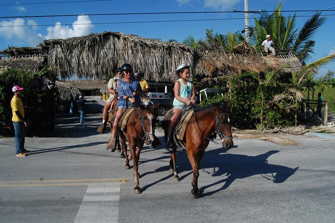 Punta Cana Horseback Riding on the Beach