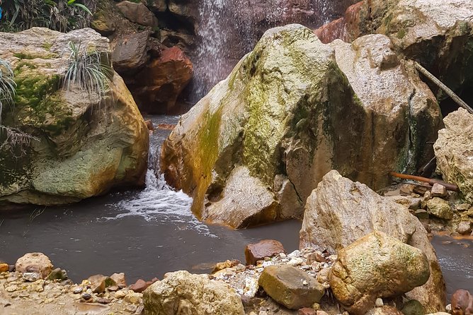 Rainforest Waterfall Adventure