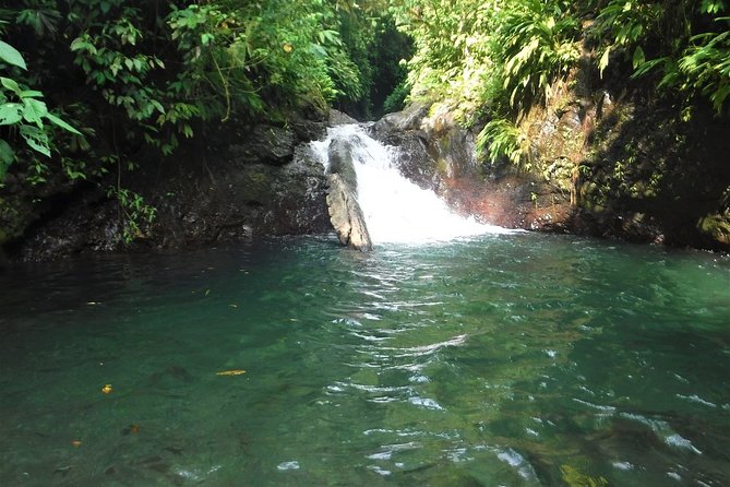 Rainmaker Waterfalls and Hanging Bridges From Manuel Antonio - Tour Overview