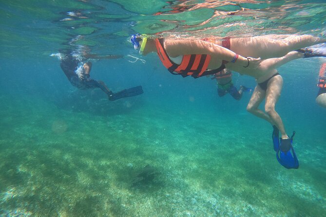 Reef Snorkeling With ATV, Zipline, Cenote That Includes Lunch and Transportation