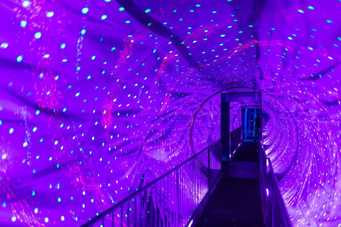 Ripleys Believe It or Not Amsterdam & 1-Hour Canal Cruise