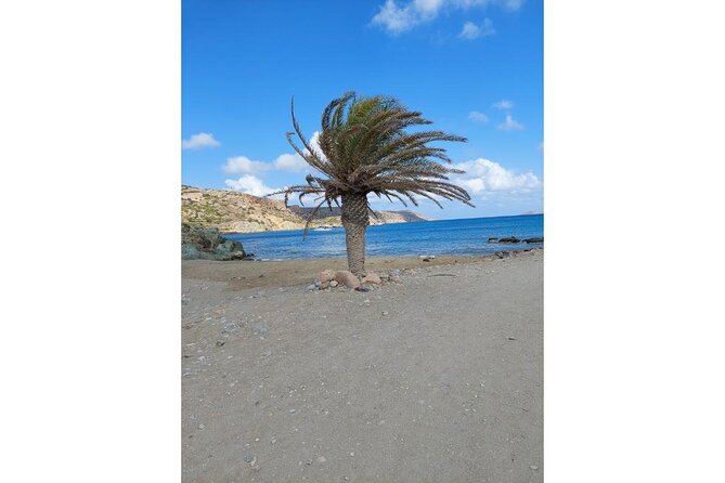 RIVIERA – Vai Palm Beach, Toplou Monastery