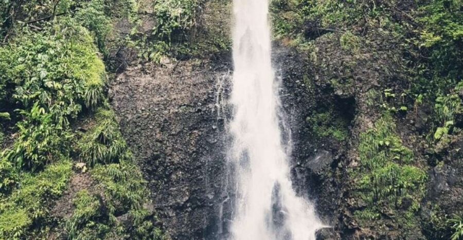 Roseau: Middleham Falls and Titou Gorge Half-Day Hiking Trip