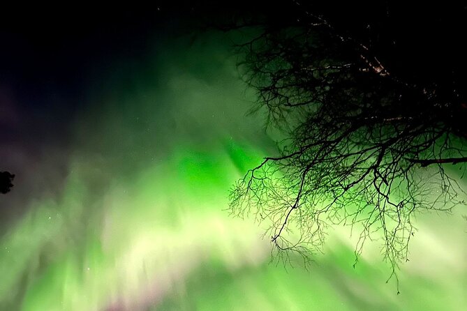 Rovaniemi: Aurora Hunting & Photography Tour - Pickup and Accessibility