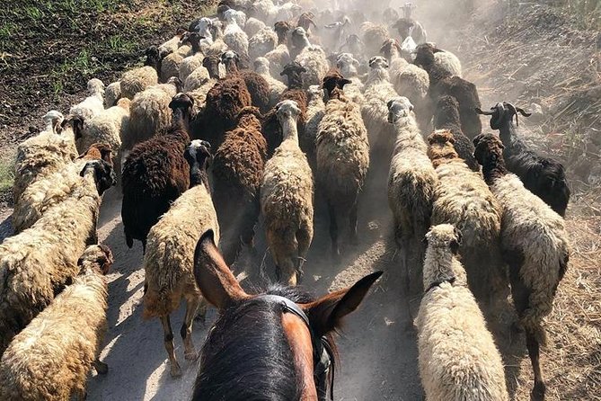 Rural Horse Riding Adventure - Overview of the Adventure