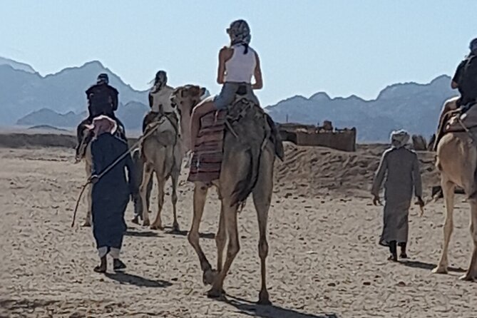 Safari Dessert Tour in Hurghada - Overview of the Tour