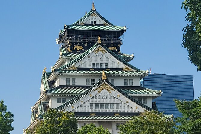 [Same Day Ok] Osaka 4 Hour, Castle, Market, Walking Tour