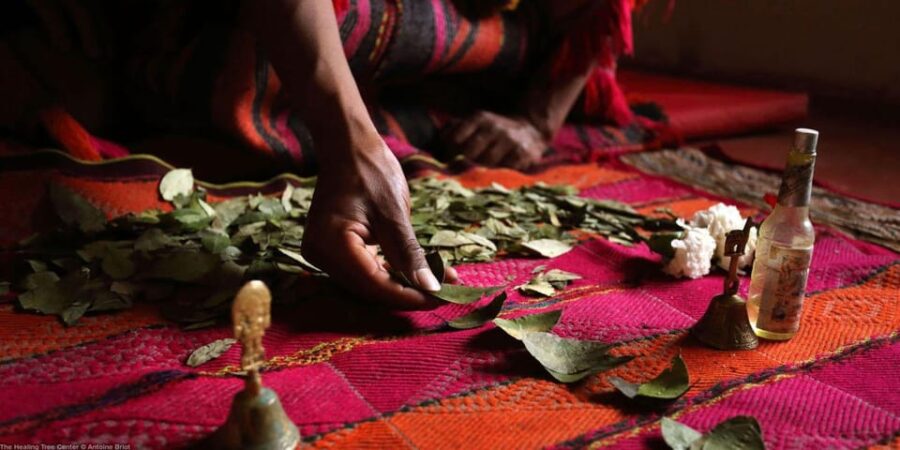 San Pedro Ceremony and Flowering Bath With Coca Reading