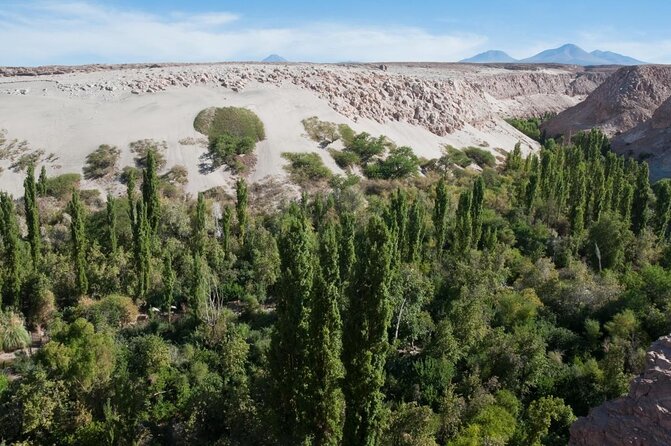San Pedro De Atacama, Laguna De Chaxa and Toconao – Half Day