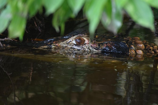 Sandoval Lake and Tambopata National Reserve