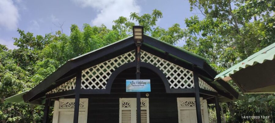 Santo Domingo: Los Haitises Private Day Trip