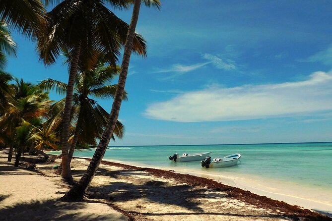 Saona Island Day Trip + Lobsters Included in Cap Cana