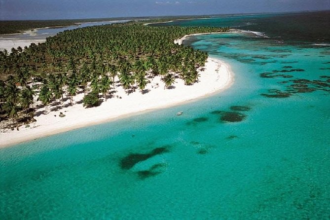 Saona Vip Speedboat