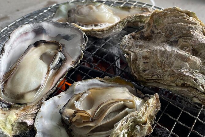 Sea and Ginjo Sake Adventure for Hiroshima Oyster Lovers - Highlights of the Itinerary