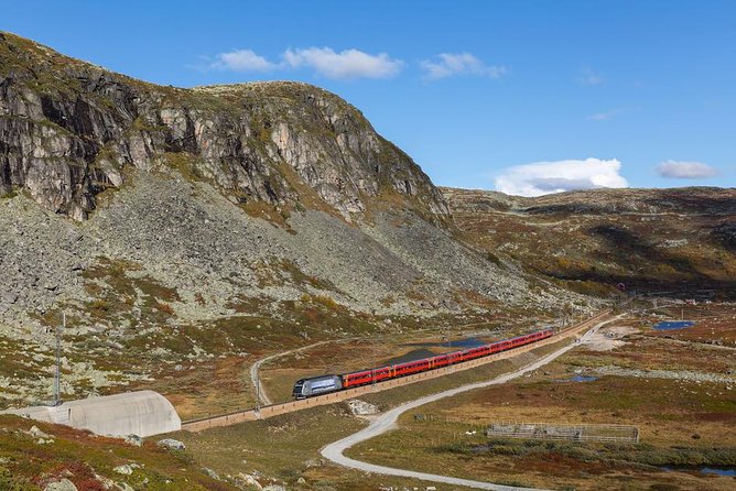 Self-Guided Bergen to Oslo Daytrip With Flamsbana & Fjordcruise