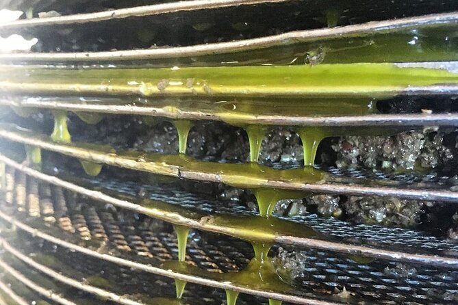 Semi- Private Olive Grove and Oilve Mill With Olive Oil Tastings