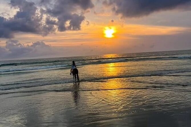 Seminyak Horse Back Riding Bali Under Sunset