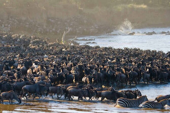 Serengeti Great Wildebeest Migration – 5 Days Tanzania Safari