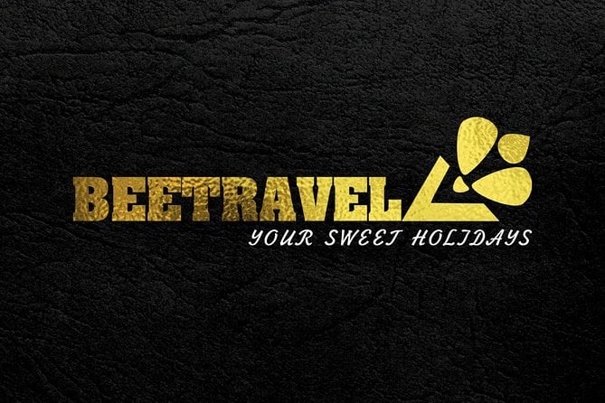 Seville Private Transfers (Minibuses up to 8pax) - Pricing and Guarantee