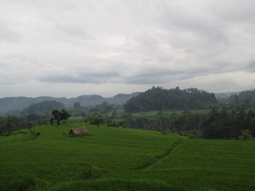 Sidemen Adventures: The Scenic Rice Fields and Village Life - Experience Highlights