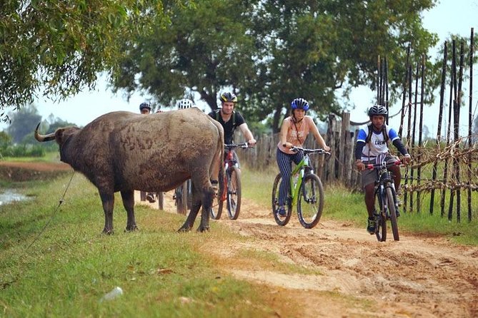 Siem Reap Countryside Discovery By Bicycle