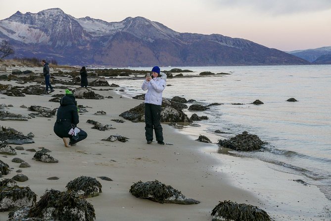 Sightseeing and Hike With Tromso Outdoor