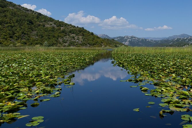Skadar Lake Day Trip From Herceg Novi - Tour Overview