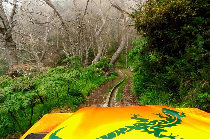 Skywalk, Vineyards, Landscapes and 4×4 Experience in Madeira