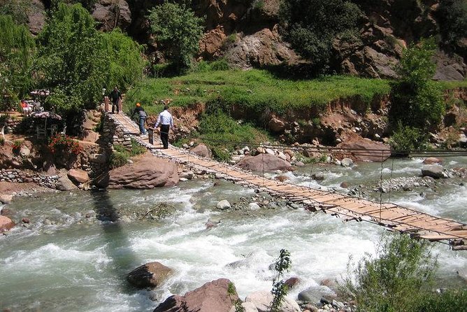 Small Group Day Tour to Ourika Valley From Marrakech