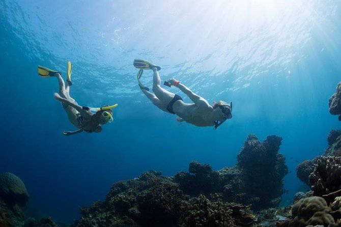 Snorkeling Tour at Lands End in Cabo San Lucas - Tour Overview