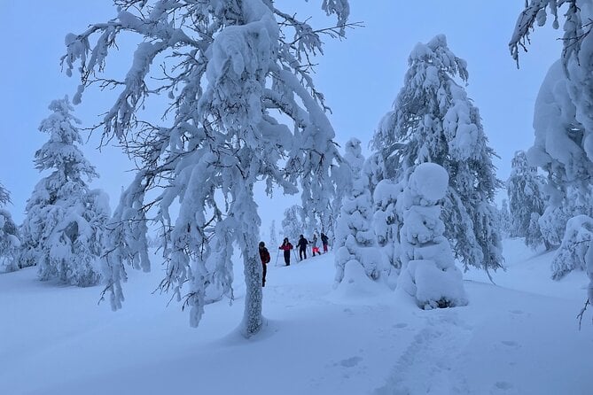 Snowshoeing in Pallas-Yllästunturi National Park