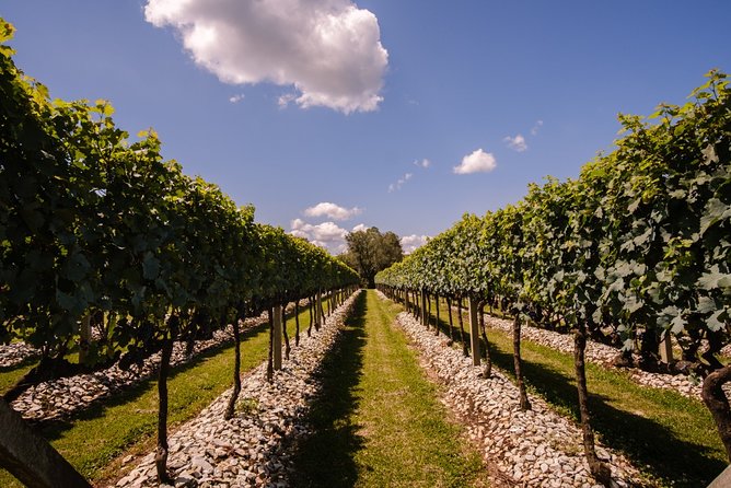 Special Wineries – Bento Gonçalves