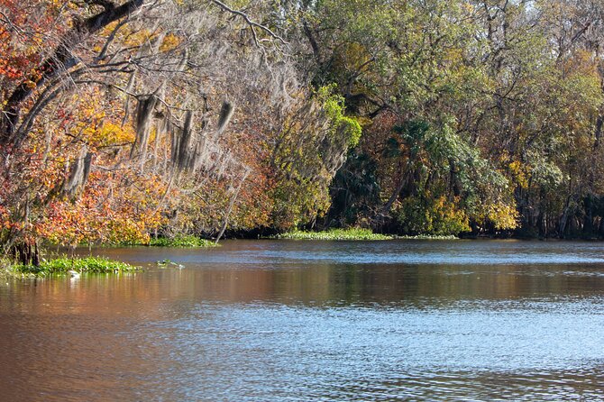 St. Johns River Cruise - Blue Spring State Park - Overview and Experience
