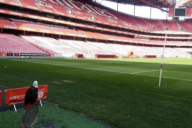 Stadium of Benfica Experience and Museum Visiting - Benficas Legendary Stadium