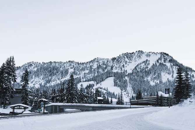 Stevens Pass Ski Resort Tour From Seattle
