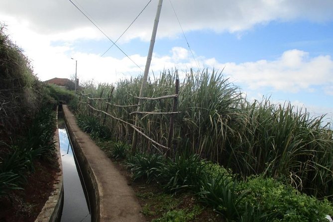 Sugar Route – Levada Nova (Half Day Walk)