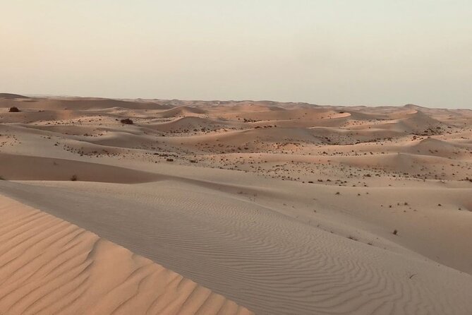 Sunrise Desert Safari With Quad Bike and Sandboarding,