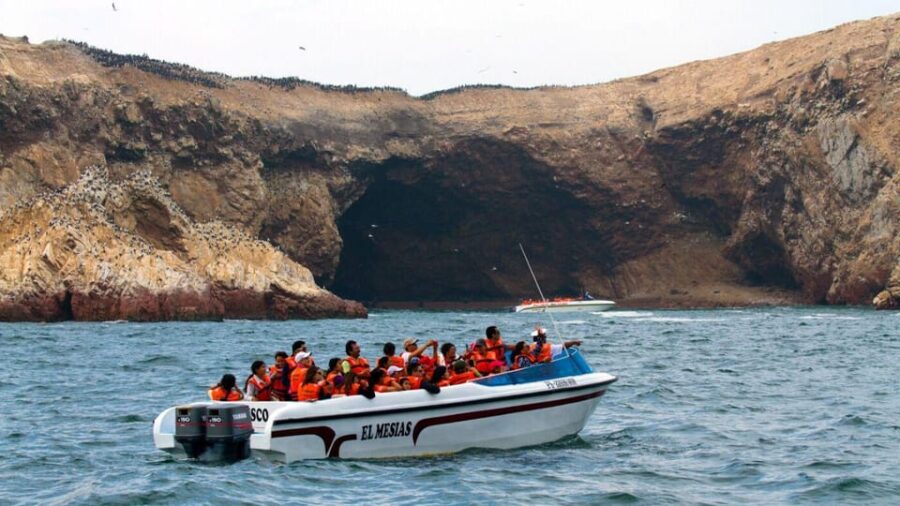 Swim With Sealion on Palomino Island