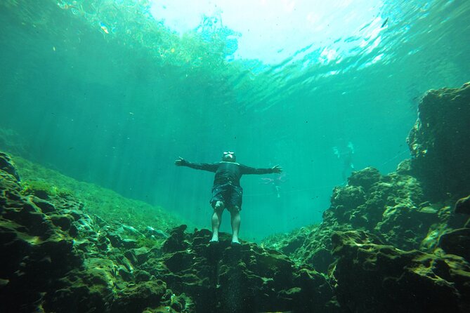 Swimming With Turtles, 2 Cenotes & Gopro