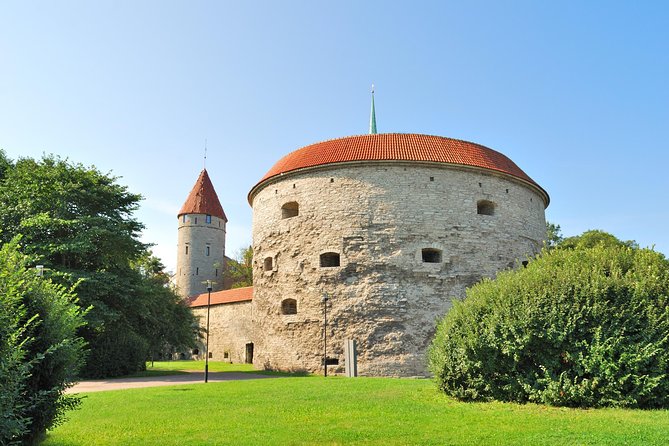 Tallinn Highlights and Marzipan Painting Masterclass
