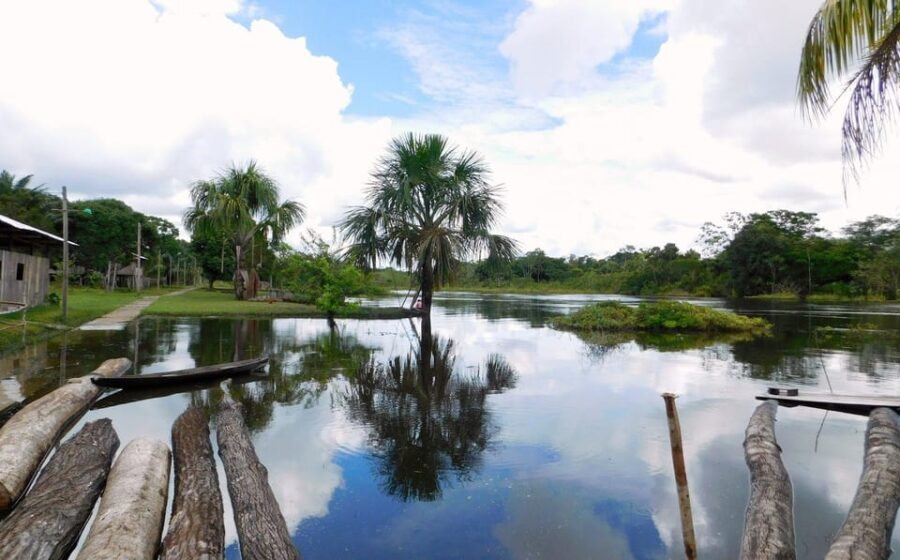 Tamshiyacu Reserve – 5 Days and 4 Nights