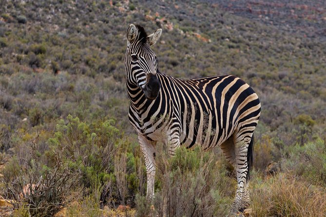 Tanzania Safari 1- Day – ARUSHA NATIONAL PARK VISIT