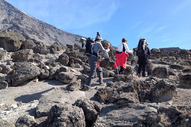 The Best 6-Days Kilimanjaro Hiking (Machame Route)Whiskey Route - Overview of the Kilimanjaro Hiking Tour
