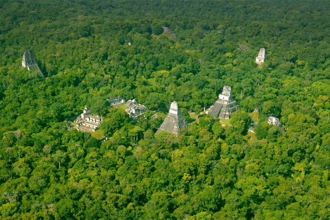 Tikal Private Tour All Inclusive From Flores