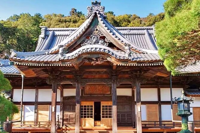 Tokyo Cherry Blossom, Hot Spring, and Strawberry Picking Tour
