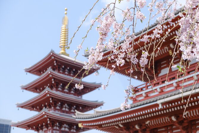 Tokyo Discovery:Exclusive Private Car Tour for an Epic Adventure!