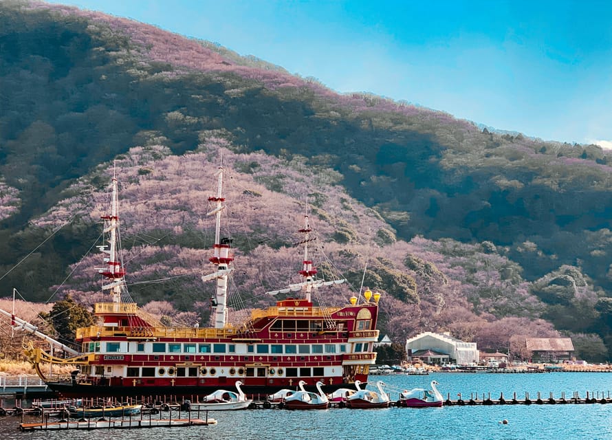 Tokyo: Hakone Private Day Trip With English Speaking Driver - Overview and Pricing