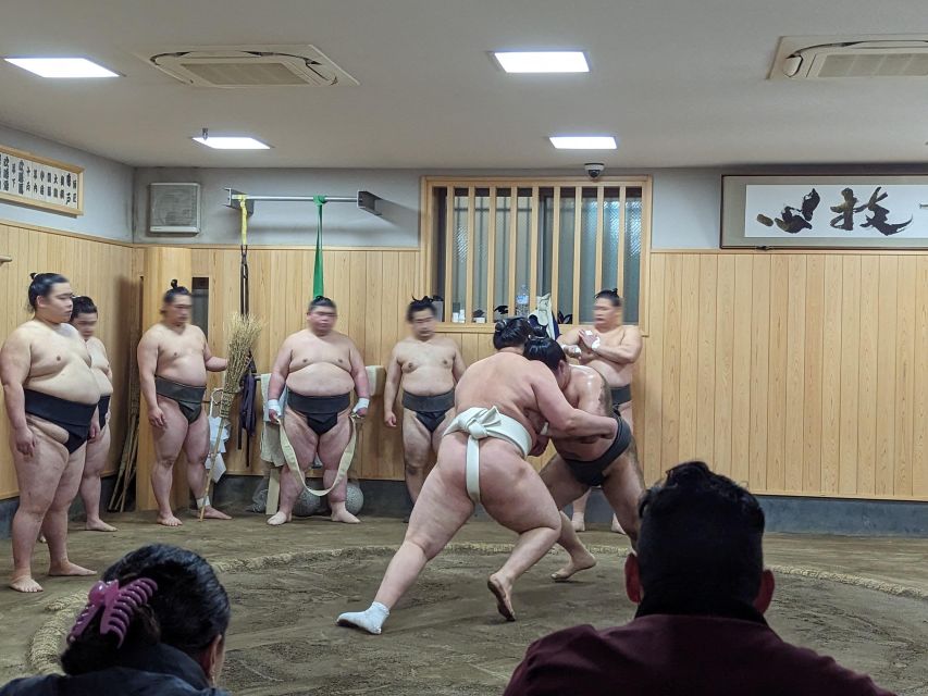 Tokyo: Morning Sumo Practice Viewing