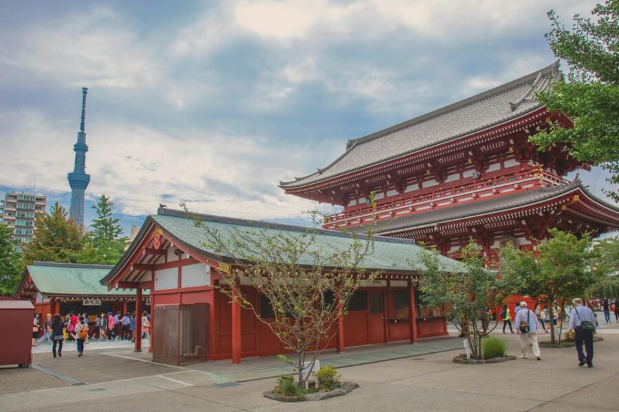 Tokyo Private Tour by Car With English Speaking Chauffeur