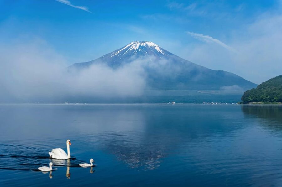 Tokyo to Mt Fuji 5 Lakes Private Tour Green Number Plate Car